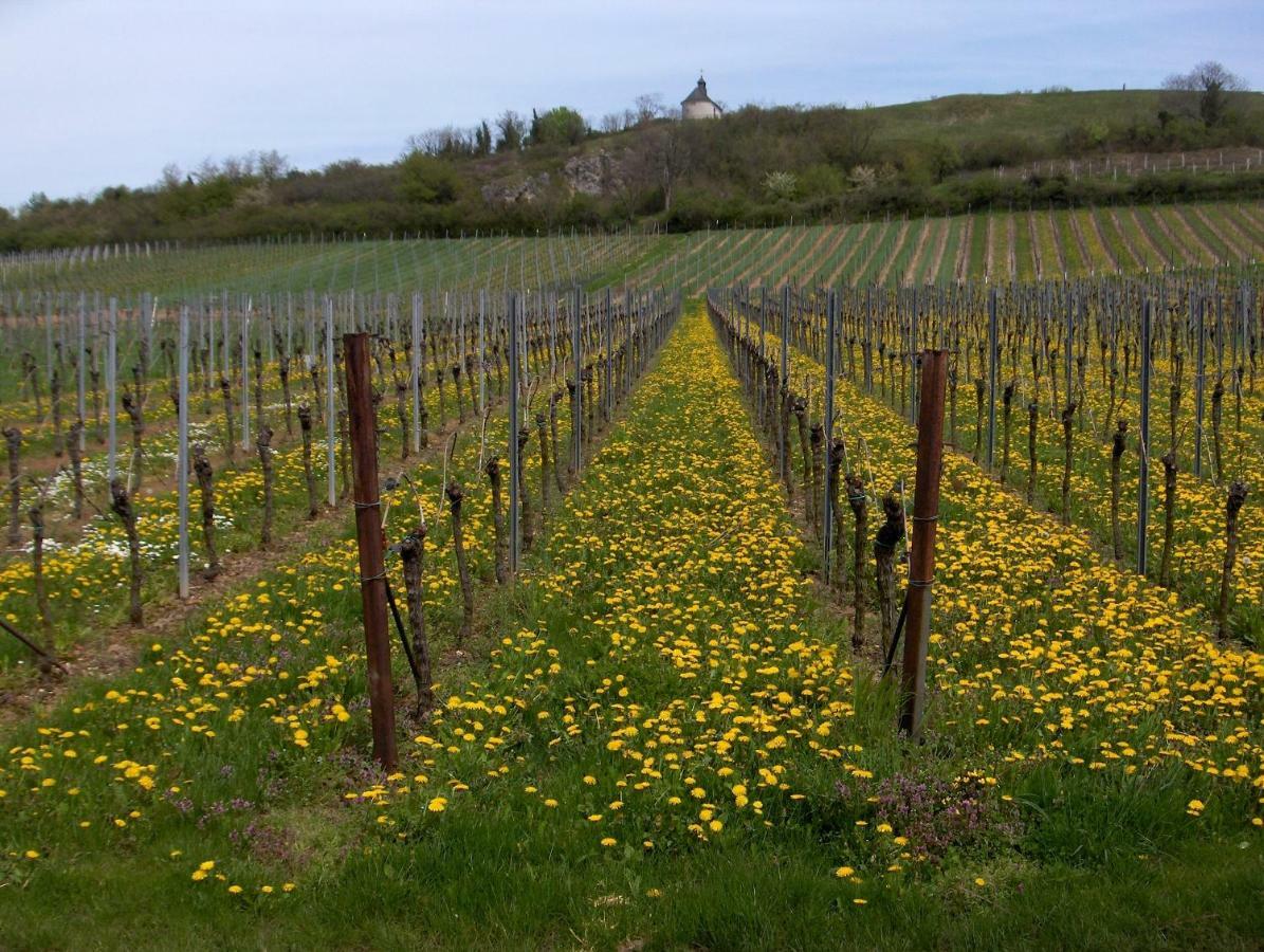 فندق Ilbesheim bei Landau in der Pfalzفي  Wein-Domizil Brennofen المظهر الخارجي الصورة